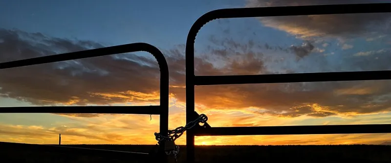 Locked Out of Your Own Life: The Recovery Code Crisis Nobody Saw Coming